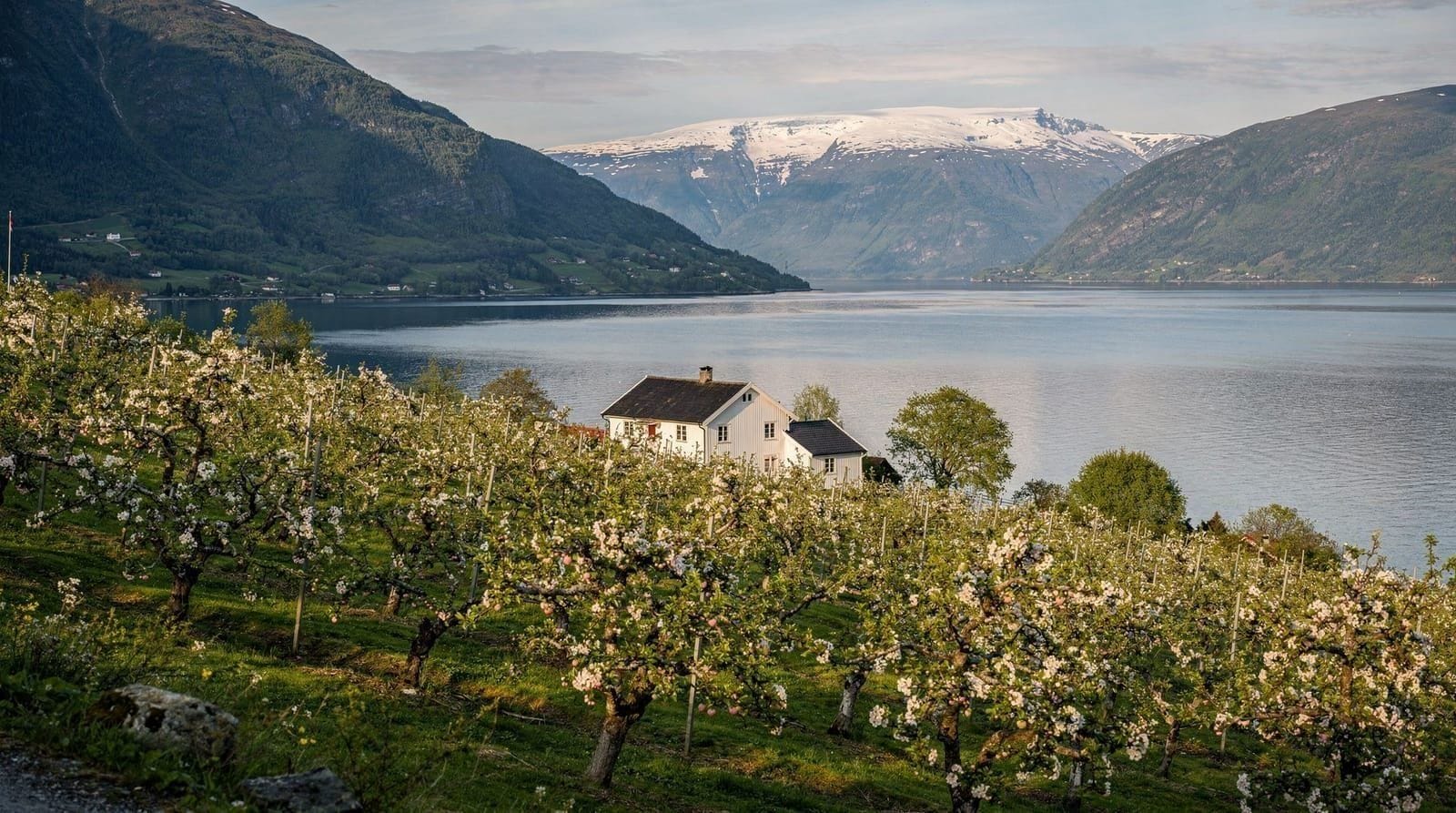 Scenic Hardangerfjord, Waterfalls, and Orchards Day Trip