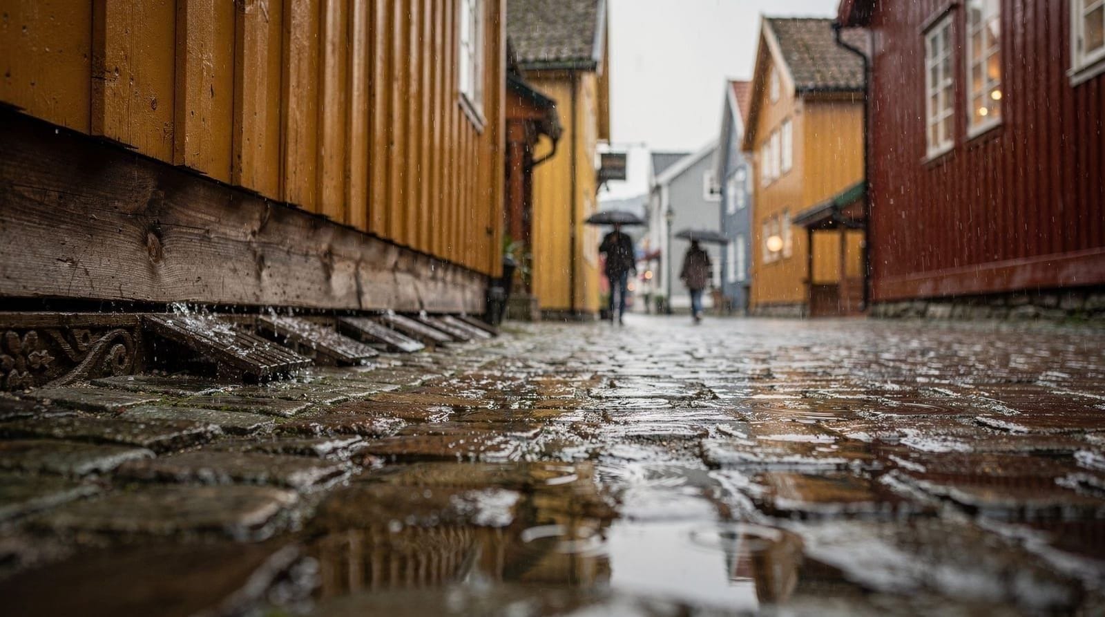 Bergen in the rain: how to plan when it's wet — Bergen rains ~230 days a year. This guide covers indoor activities, rain-day str